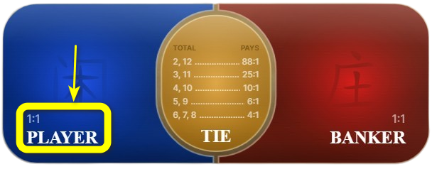 Player Bet